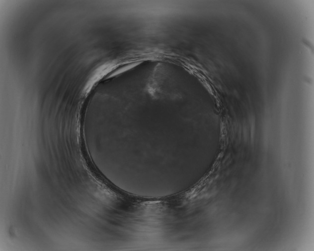 X0000091330054200708311444