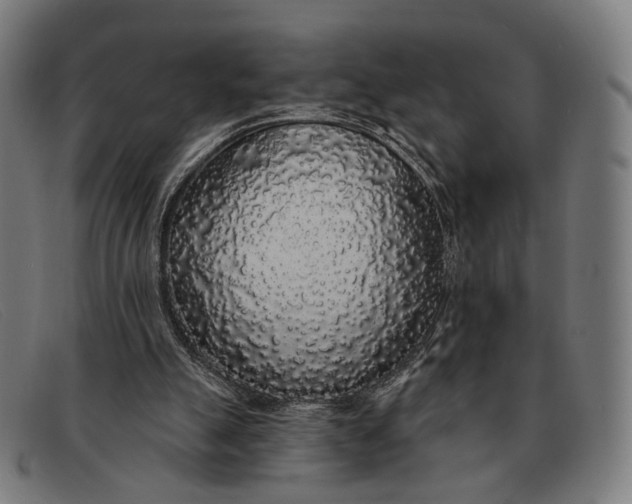 X0000091330055200708311444