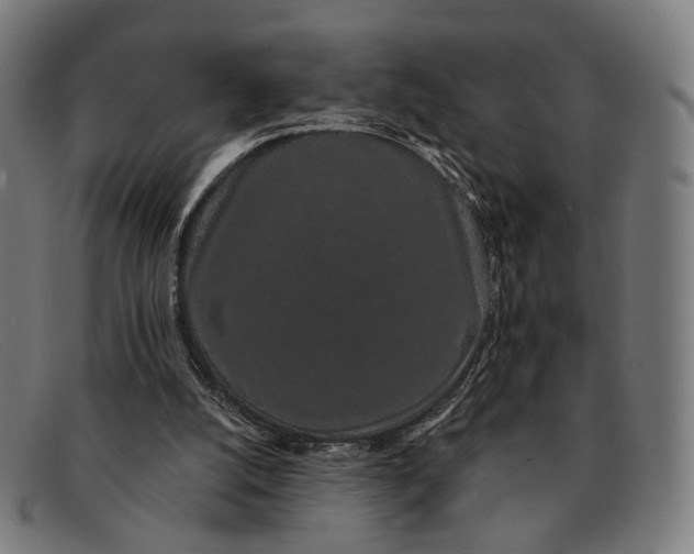 X0000091330056200708311444