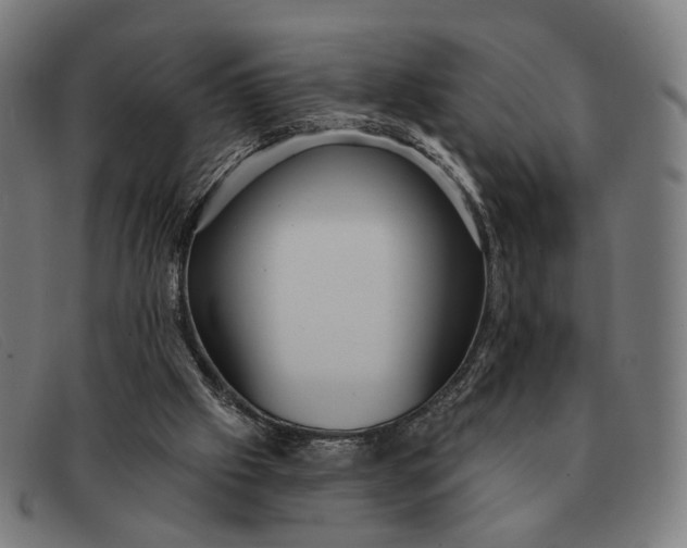 X0000091330057200708311444