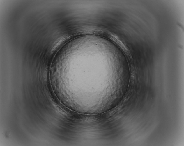 X0000091330058200708311444