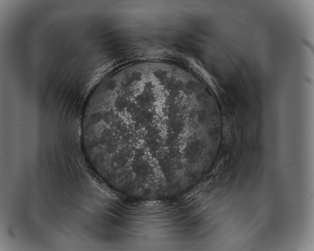 X0000091330059200708311444