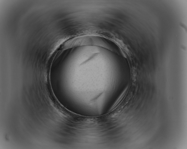 X0000091330060200708311444