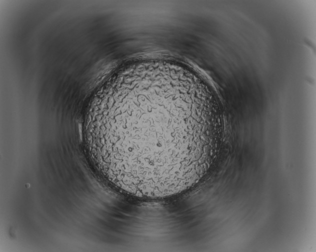 X0000091330061200708311444