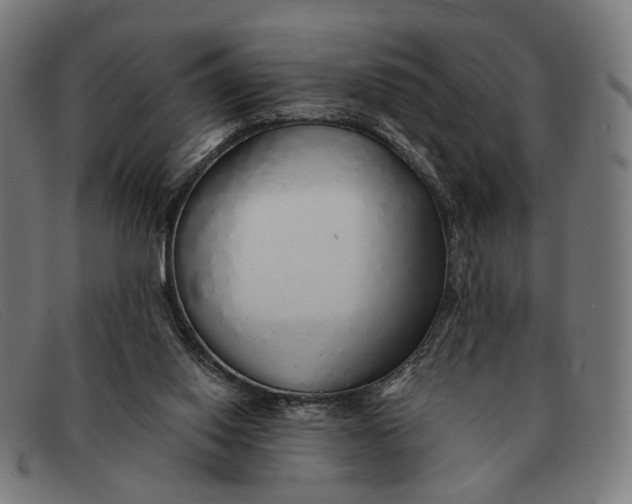 X0000091330062200708311444