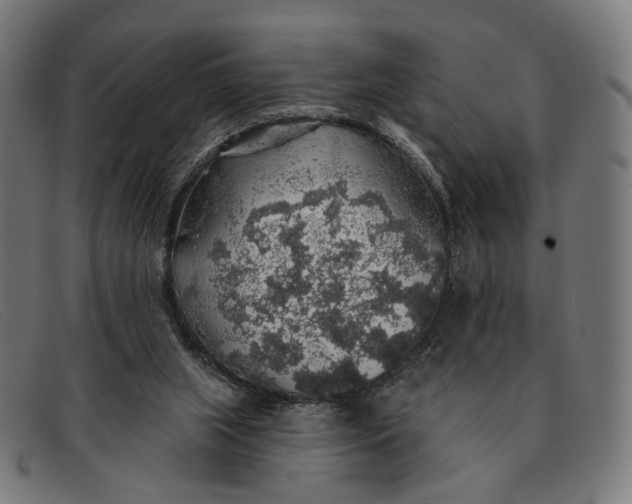 X0000091330063200708311444