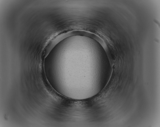 X0000091330064200708311444