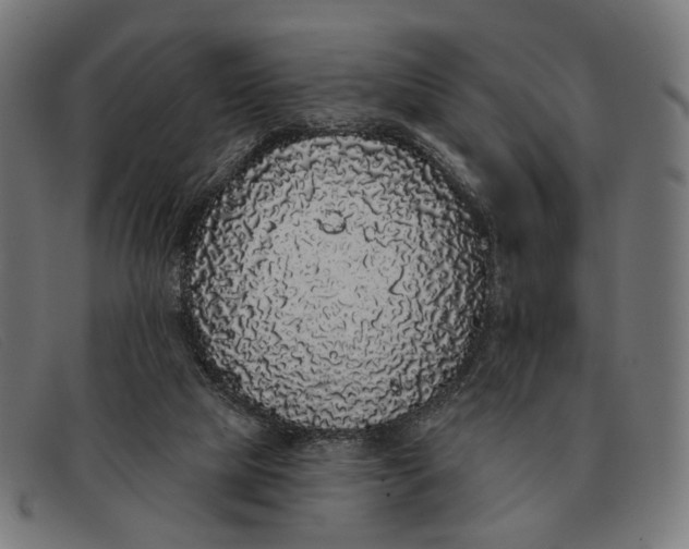 X0000091330065200708311444