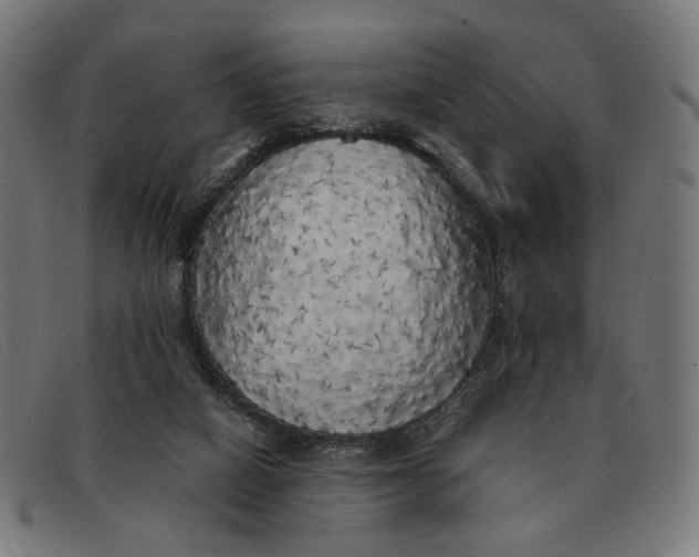 X0000091330066200708311444