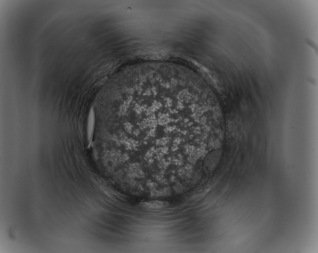 X0000091330069200708311444