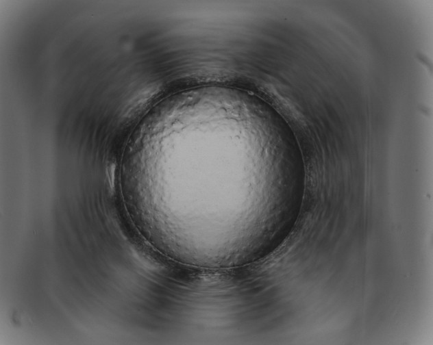 X0000091330070200708311444