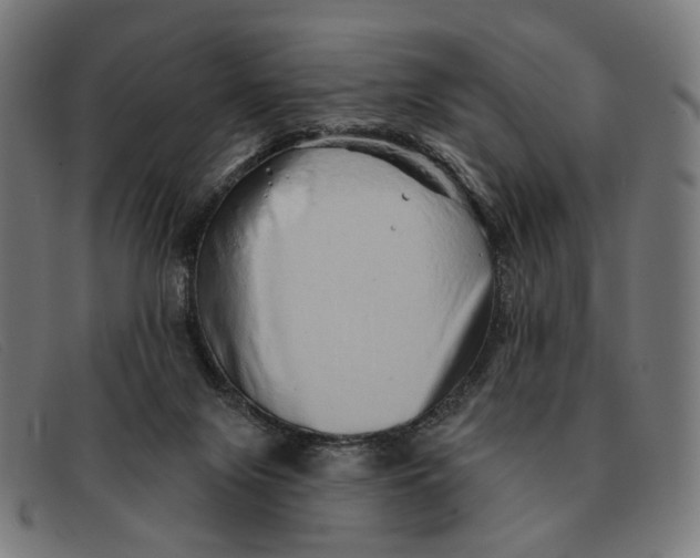 X0000091330071200708311444