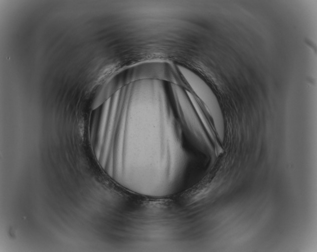 X0000091330072200708311444