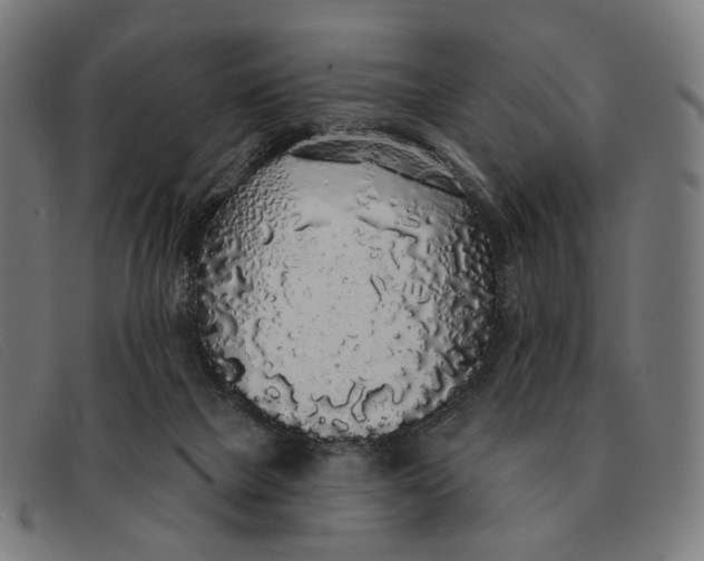 X0000091330073200708311444