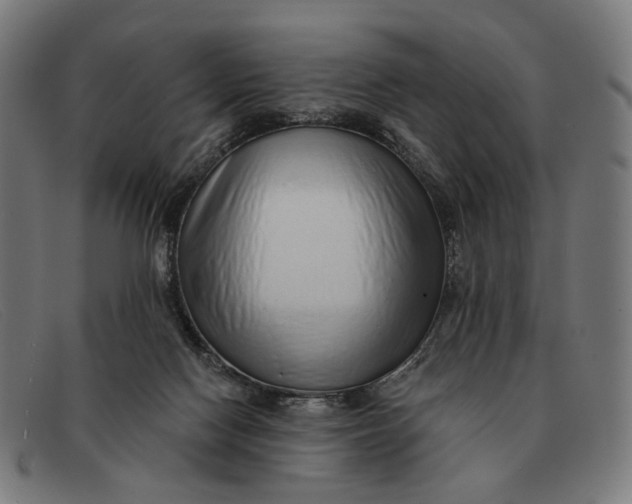 X0000091330074200708311444