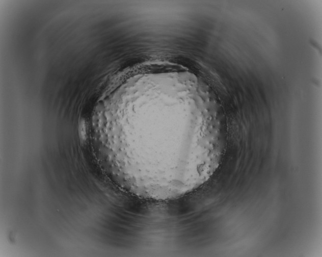 X0000091330075200708311444