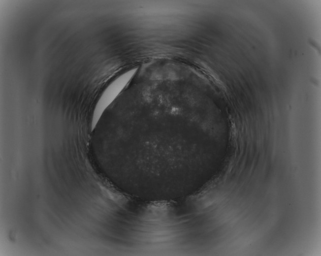 X0000091330076200708311444