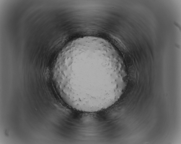 X0000091330077200708311444