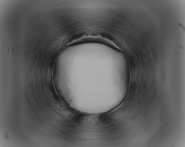 X0000091330078200708311444