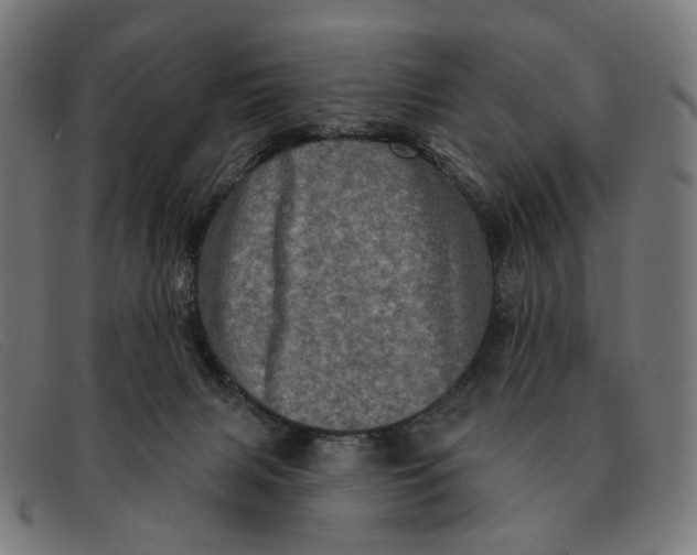 X0000091330079200708311444