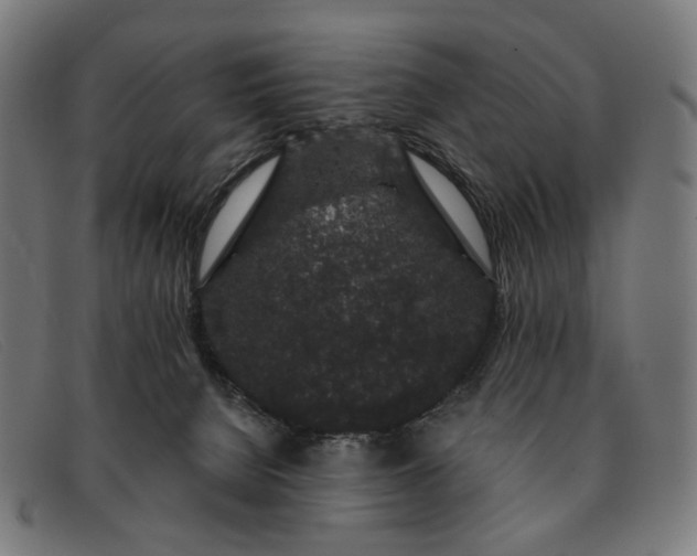 X0000091330080200708311444