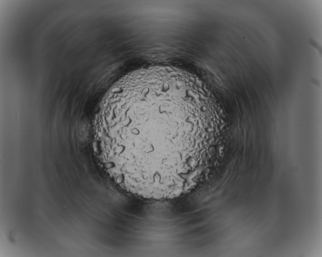 X0000091330081200708311444