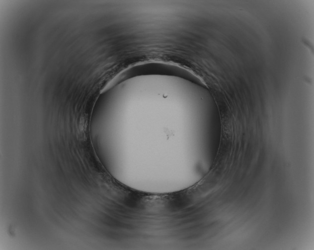 X0000091330082200708311444