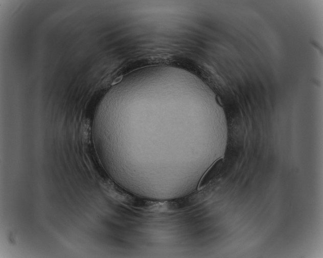 X0000091330083200708311444