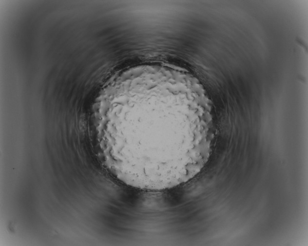 X0000091330085200708311444