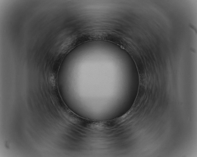 X0000091330086200708311444