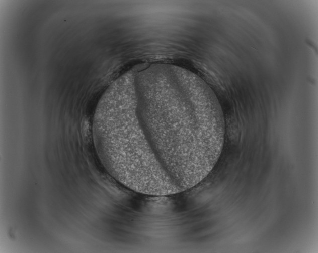 X0000091330087200708311444