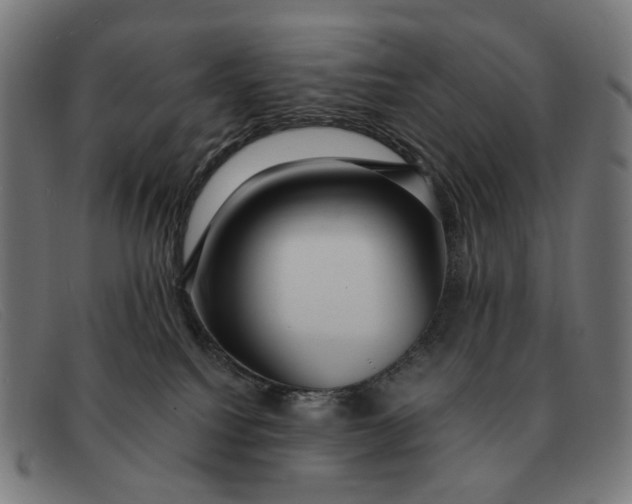 X0000091330088200708311445