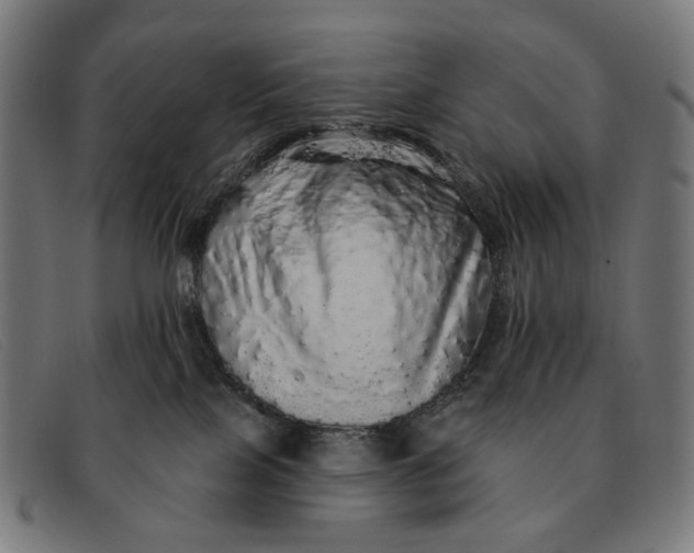 X0000091330089200708311445