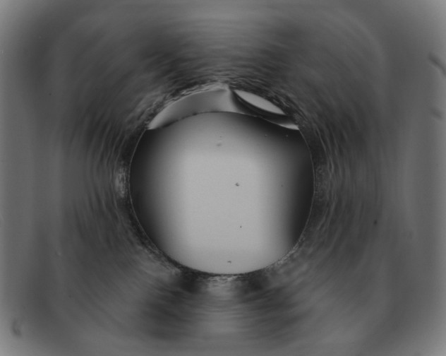 X0000091330090200708311445
