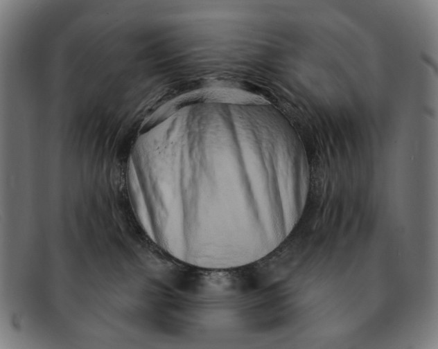 X0000091330091200708311445