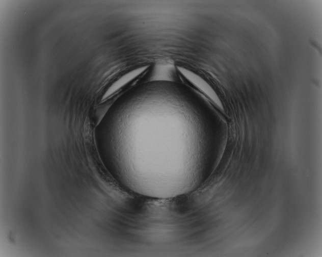 X0000091330092200708311445