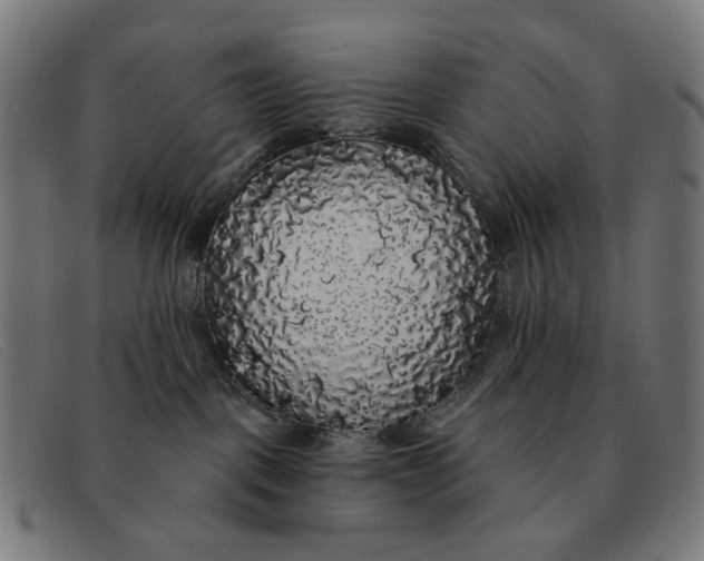 X0000091330093200708311445