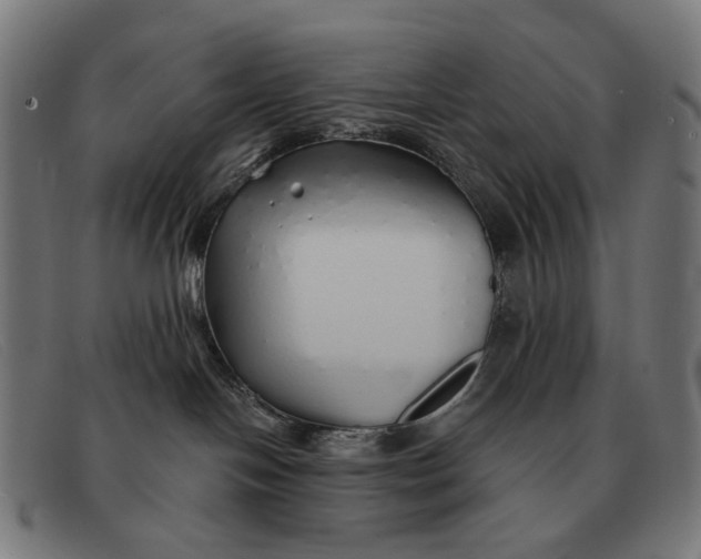 X0000091330094200708311445