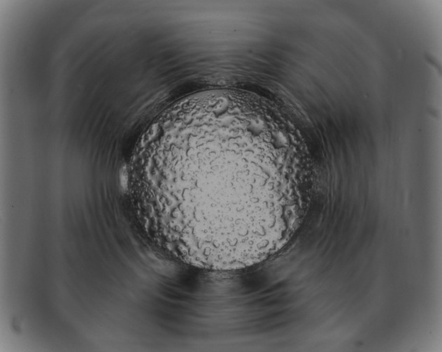 X0000091330095200708311445