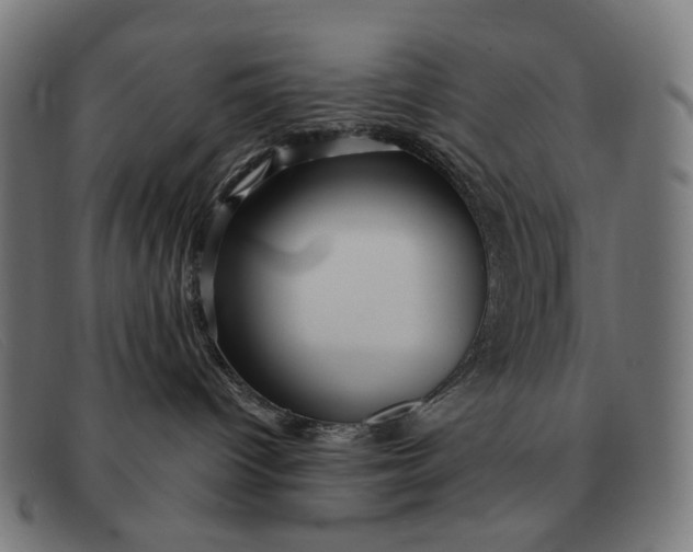X0000091330096200708311445