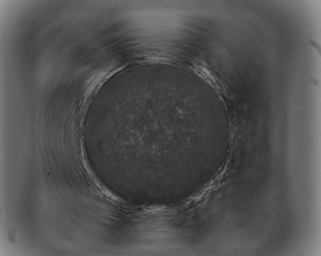 X0000091330097200708311444