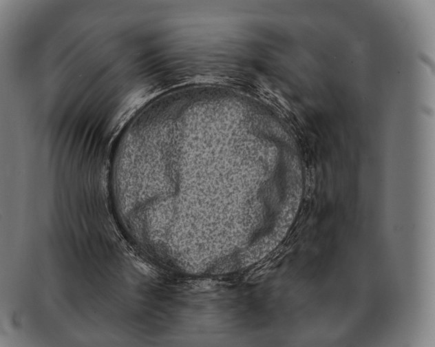 X0000091330098200708311444