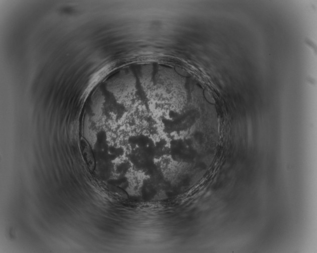 X0000091330099200708311444