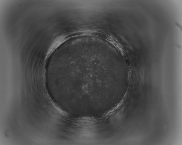 X0000091330101200708311444