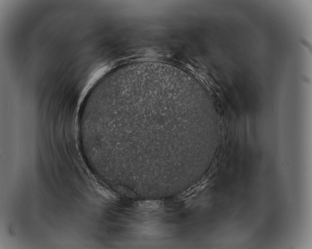 X0000091330102200708311444