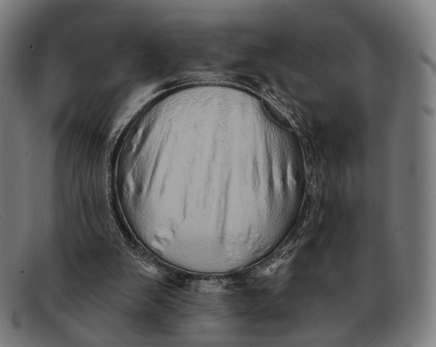 X0000091330103200708311444