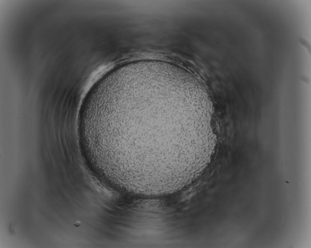 X0000091330104200708311444