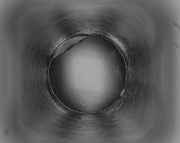 X0000091330105200708311444