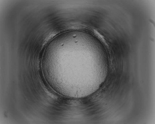 X0000091330106200708311444