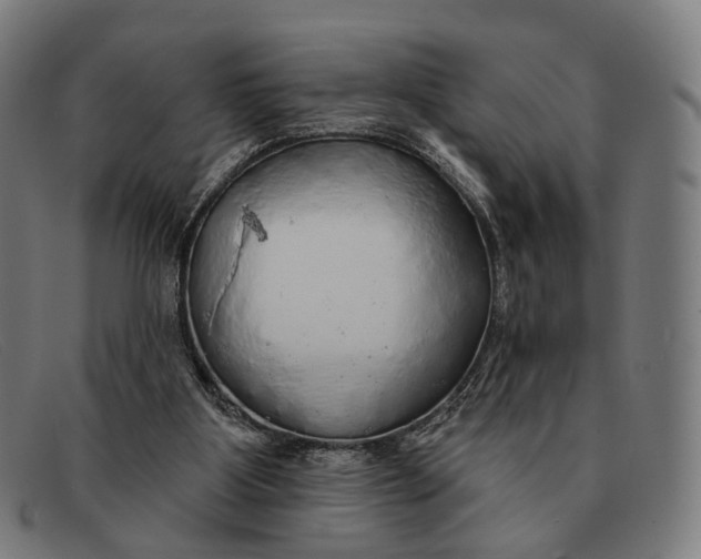 X0000091330107200708311444